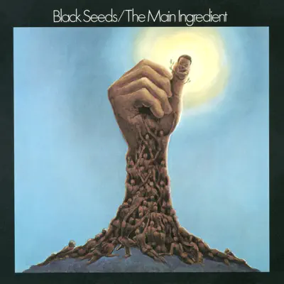 Black Seeds - The Main Ingredient