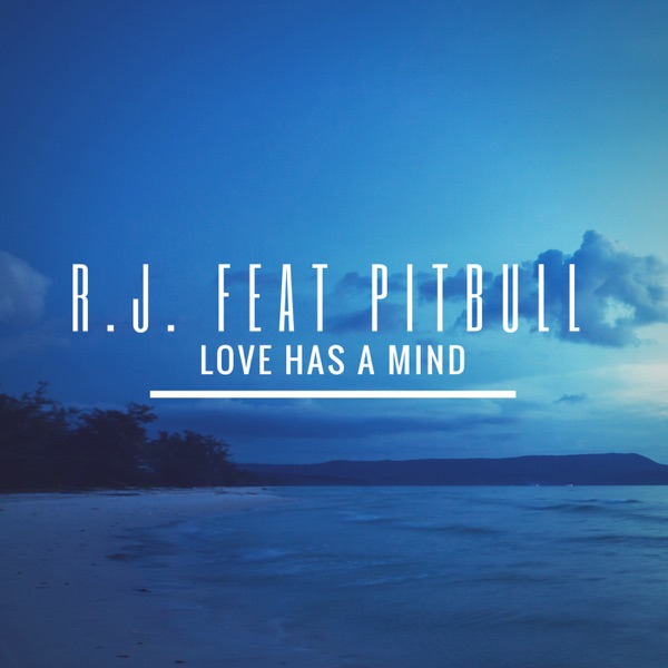 Love Has a Mind (feat. Pitbull) [David May Mix] - Single