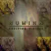 Numina - An Imposing Presence