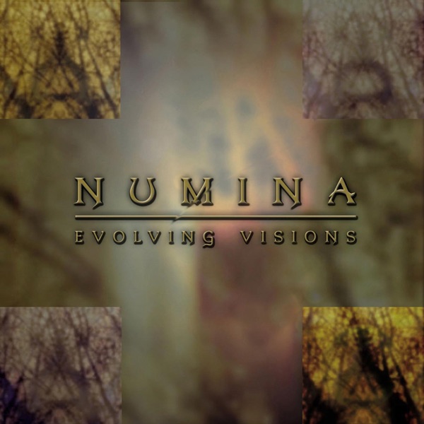 Evolving Visions - Numina