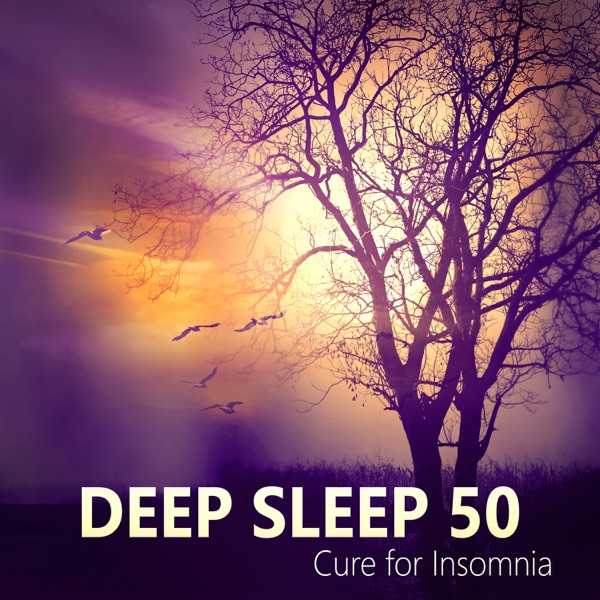 Deep Sleep 50: Cure for Insomnia, Music for the Treatment of Sleep Disorders, Sleeping Songs to Quieten & Relax