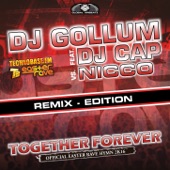 Together Forever (Easter Rave Hymn 2k16) [feat. DJ Cap] [Marious Radio Edit] artwork
