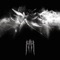 Coherent - WWWINGS lyrics
