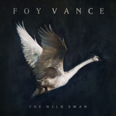 Foy Vance - She Burns
