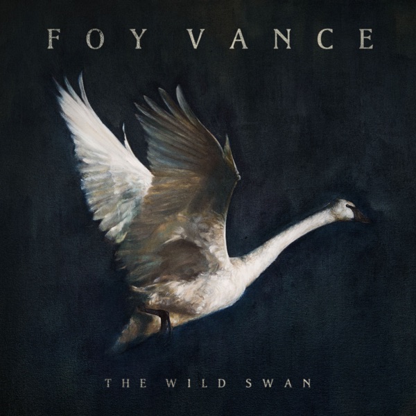 She Burns by Foy Vance on Go Folk