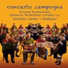 Messmer Concerto Zampogna in C Major, op. 28: I. Allegro Concerto Zampogna - Baroque Music For Hurdy-Gurdy