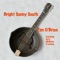 Bright Sunny South (feat. Arty McGlynn & Lúnasa) - Tim O'Brien lyrics