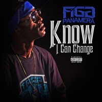 Know I Can Change - Single - Figg Panamera