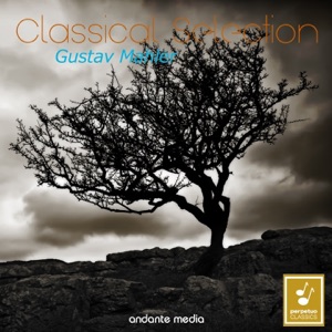 Symphony No. 5: V. Rondo-Finale