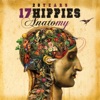 20 Years 17 Hippies - Anatomy, 2016