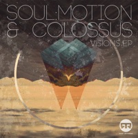 Visions - Single - Soulmotion & Colossus