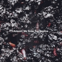 Kobosil - They Looked On