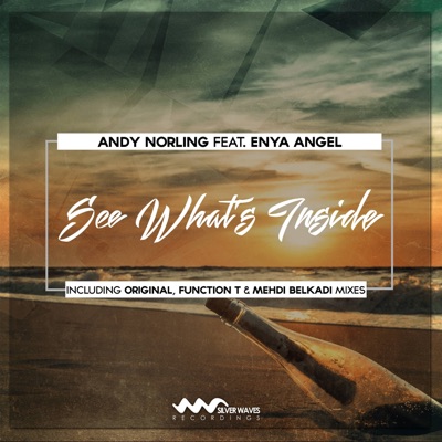 See What's Inside (feat. Enya Angel) - Single