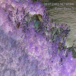 Cyber Sleep 5