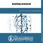 Healing Protocol artwork