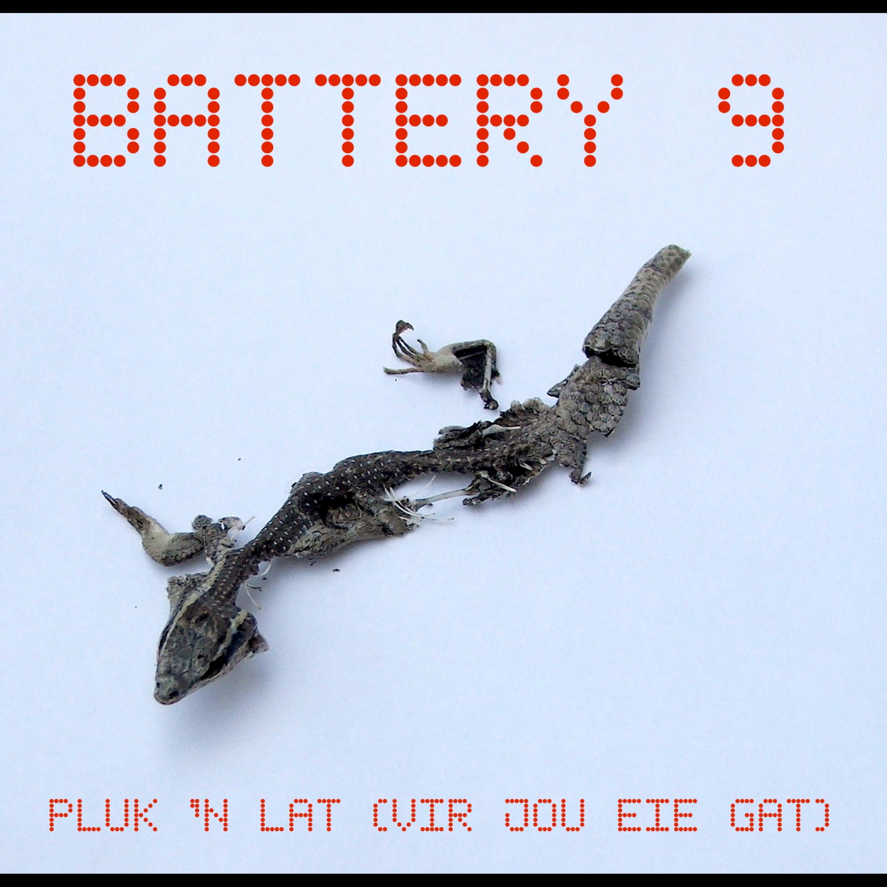 Pluk 'N Lat (Vir Jou Eie Gat) - Single