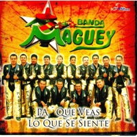 Pa Que Veas Lo Que Se Siente - Banda Maguey