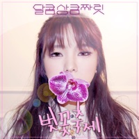 벚꽃 축제 - Single - 달콤상큼짜릿