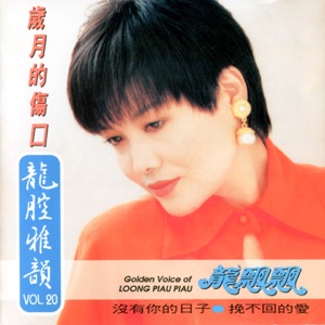 Long Piao-Piao (龍飄飄) - Sui Yue De Shang Kou (歲月的傷口) - Line Dance Choreograf/in