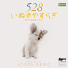 いぬのやすらぎ~愛の周波数528Hz~ - ACOON HIBINO