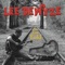 A Song I Wrote For You - Lee DeWyze lyrics