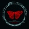 Butterfly Effect (Luis Cobos Remix) - Everdom lyrics