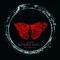 Butterfly Effect (Luis Cobos Remix) - Everdom lyrics