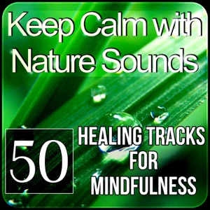 Keep Calm with Nature Sounds: 50 Healing Tracks for Mindfulness, Relaxation and Yoga Meditation, Therapy Music for Sleep, Spa Massage