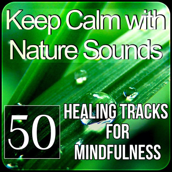 Keep Calm with Nature Sounds: 50 Healing Tracks for Mindfulness, Relaxation and Yoga Meditation, Therapy Music for Sleep, Spa Massage