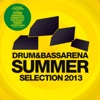 Drum & Bass Arena Summer Selection 2013, 2013