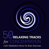 50 Relaxing Tracks for Concentration: Calm Meditation Music for Brain Exercises, Exam Study, Learning, Reading and Working - Brain Power Academy