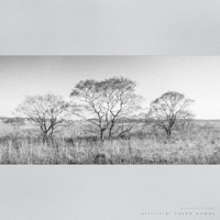 Yusuke Tsutsumi - Summer