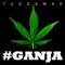 High Grade Ganja (feat. Mr Lexx) - Tuggawar lyrics