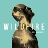 Wildfire