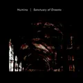Dream Recognition (Silhouette Of The Past)