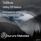 Valley of Nature (Aicos Remix) - ToShuk lyrics