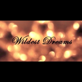 Wildest Dreams Austin