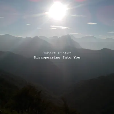 Disappearing into You - EP - Robert Hunter
