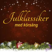 Julklassiker med körsång - Tibblekören