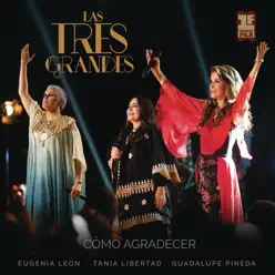 Cómo Agradecer (En Vivo) - Single - Tania Libertad