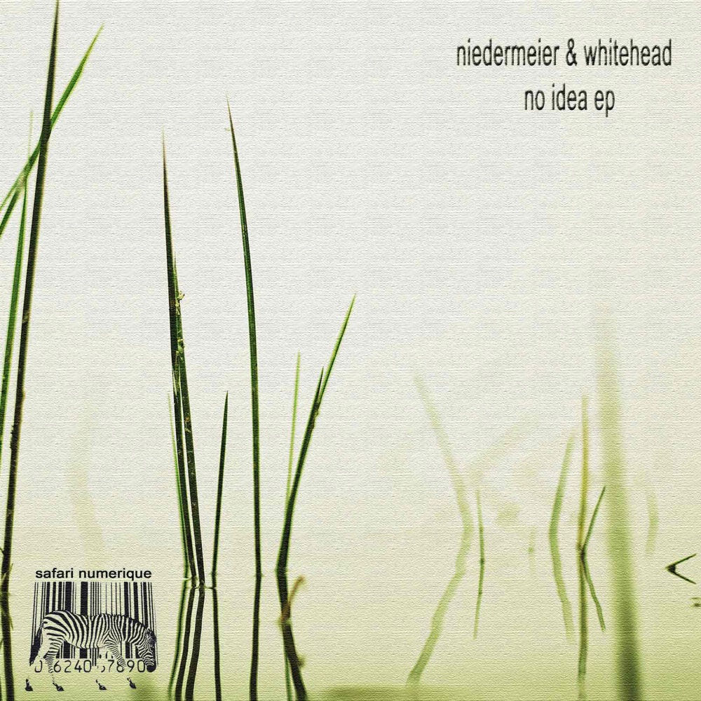 Обложка альбома «No Idea EP» — Werner Niedermeier & Gareth Whitehead