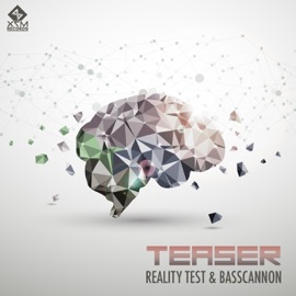 Teaser Reality Test & Basscannon