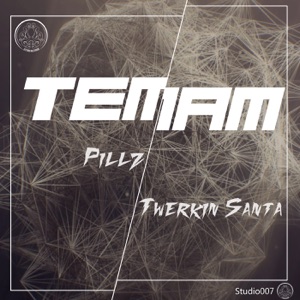 Twerkin Santa - Single