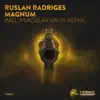 Ruslan Radriges - Magnum (Miroslav Vrlik Remix)