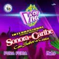 Caribemix de Cumbias 14: Te Aprovechas de Mí / Costumbres / Nube