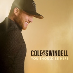 Cole Swindell - Flatliner (feat. Dierks Bentley)