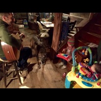 Back to Busking - Frankenstein Dog