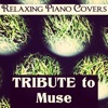 Relaxing Piano Covers