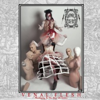 Venal Flesh - Amyloid Plaque