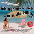 ICH VERMISS' DICH (WIE DIE HÖLLE)